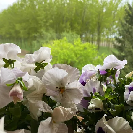 Happiness In The Country