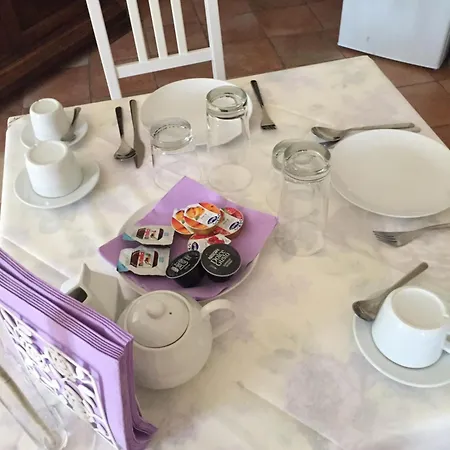 Bed & Breakfast Happiness In The Country *