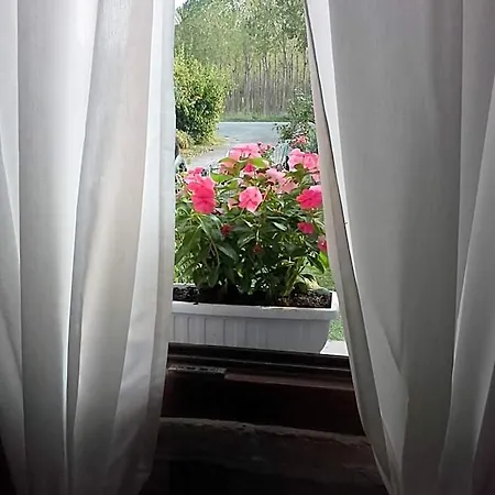 Bed & Breakfast Happiness In The Country *