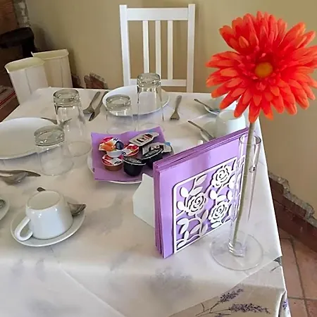 Bed & Breakfast Happiness In The Country *