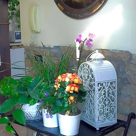 Happiness In The Country Bed & Breakfast *