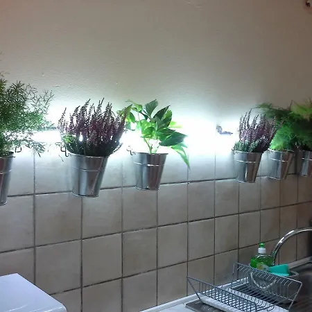 Happiness In The Country * بريشيلّو