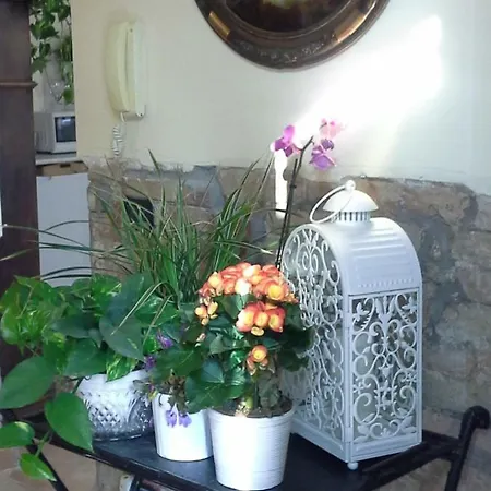 Happiness In The Country Couette-café *