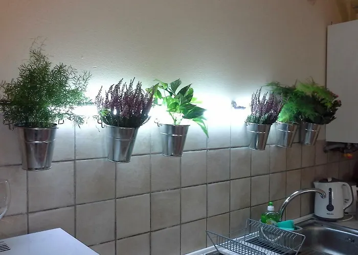 Happiness In The Country * Brescello