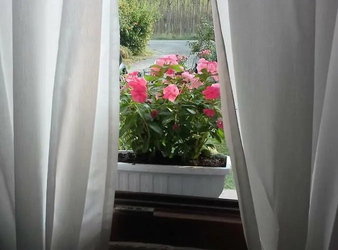 Bed & Breakfast Happiness In The Country *