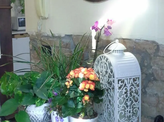 Happiness In The Country Bed & Breakfast *