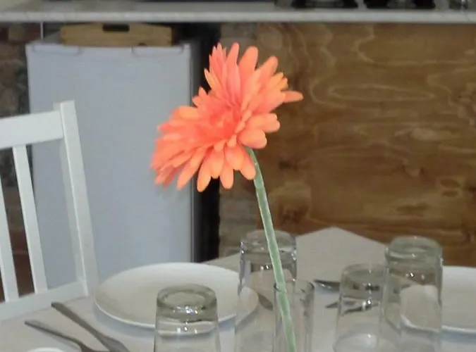 Happiness In The Country Alojamento de Acomodação e Pequeno-almoço *